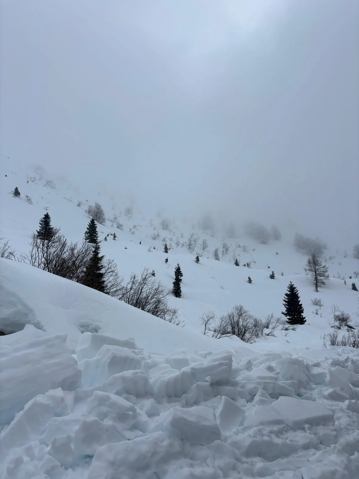 Monteaperta Hut