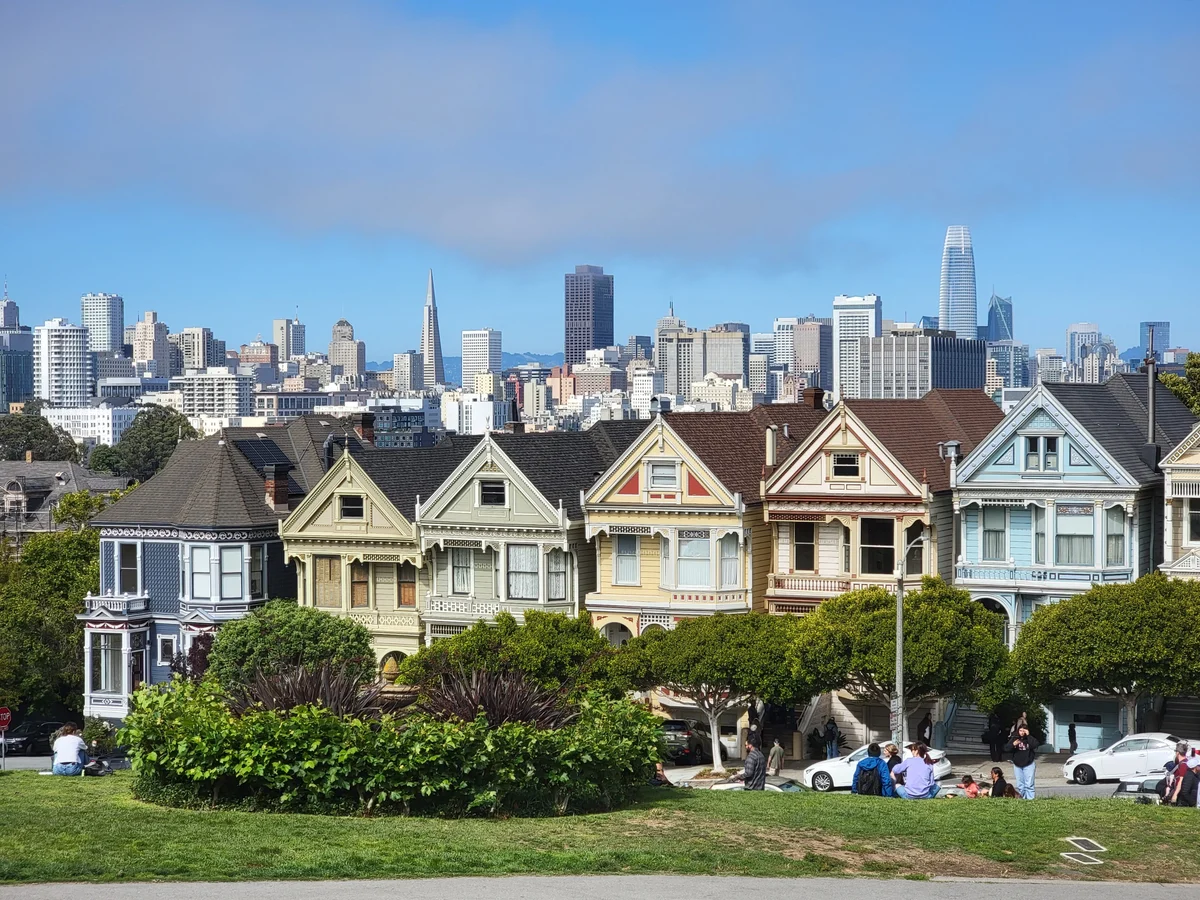 Painted Ladies