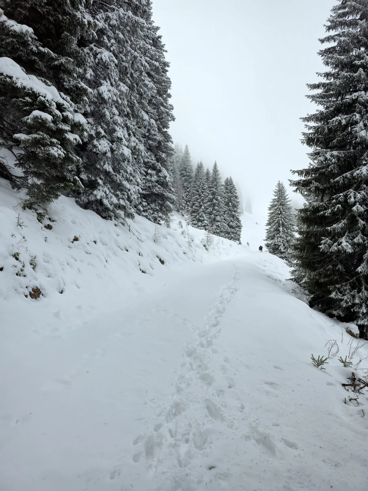 Nordio Hut